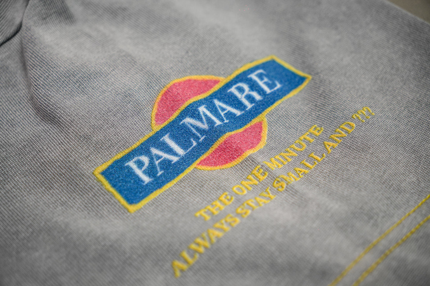 CHATA´S HEAVYWEIGHTED T-SHIRT